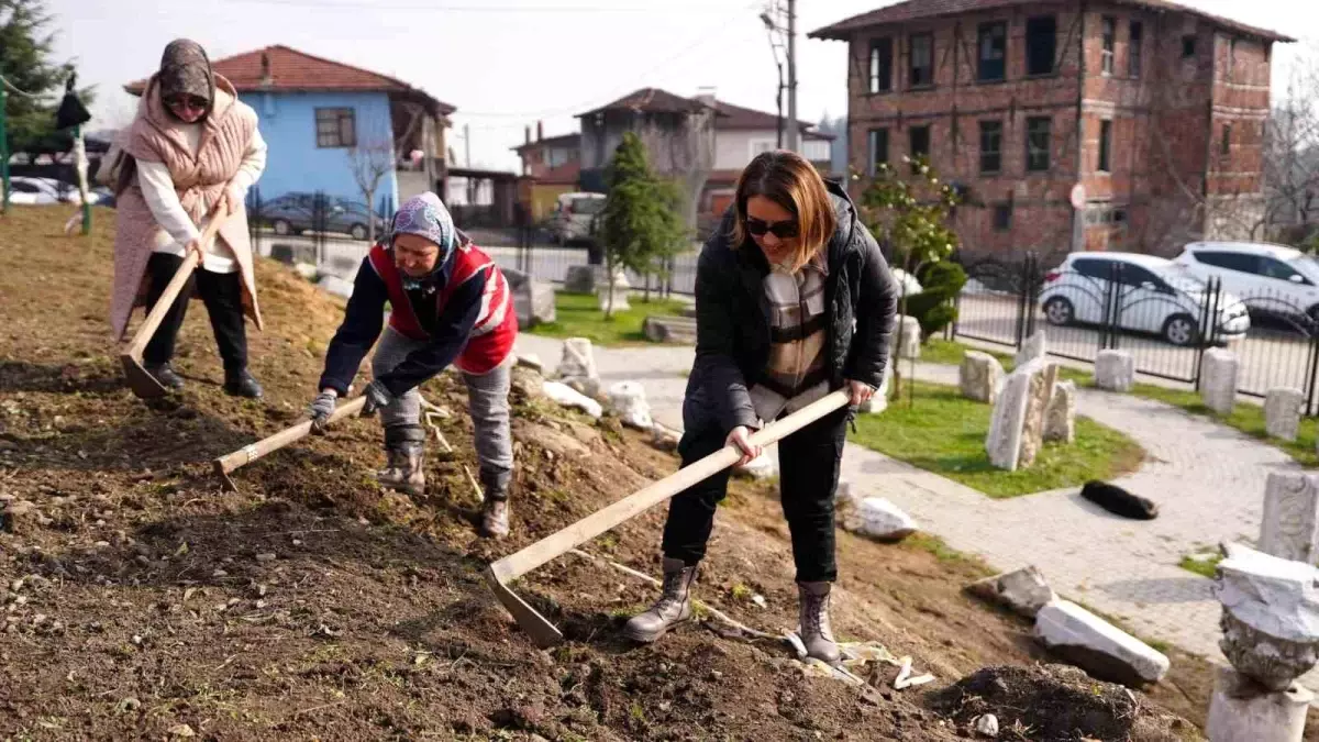 Düzce Belediyesi Park ve Bahçeler Müdürlüğü Ekipleri Prusias Ad Hypium’da Kazı Çalışmalarına Katıldı