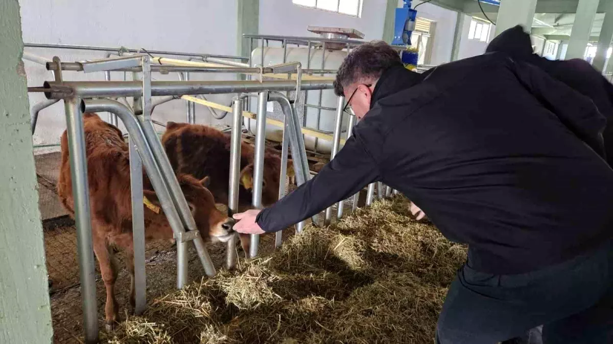 Tepebaşı’nda Hastalıktan Ari İşletme Sertifikası